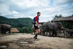 BIB: 
                            <button type="button" onclick="openModal(22424253)" class="btn btn-primary btn-sm float-right btn-popup" data-toggle="modal" data-target=".modal-high-quality">
                        <i class="fas fa-shopping-cart"></i> Add to Cart
                    </button>
                                            <button type="button" onclick="isThisMe(22424253, true)" class="btn btn-success btn-sm float-right btn-popup btn-isme hidden" data-toggle="tooltip" data-placement="bottom" title="นี่คือรูปของคุณใช่ไหม คลิกที่นี่เพื่อเอาเข้าอัลบั้ม">
                        <i class="fas fa-plus"></i> Add to album
                    </button>
                    <button type="button" onclick="isThisMe(22424253, false)" class="btn btn-warning btn-sm float-right btn-popup btn-isnotme hidden">
                        <i class="fas fa-ban"></i> Remove from album
                    </button>